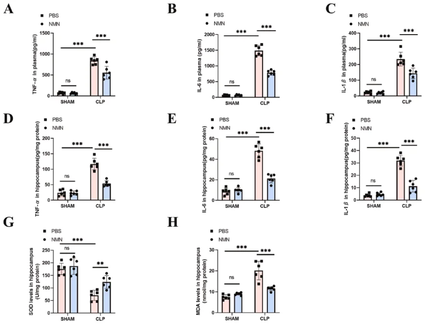 Figure: NMN reduces levels of inflammatory factors in plasma and hippocampus and oxidative stress in hippocampus Figure: NMN reduces levels of inflammatory factors in plasma and hippocampus and oxidative stress in hippocampus