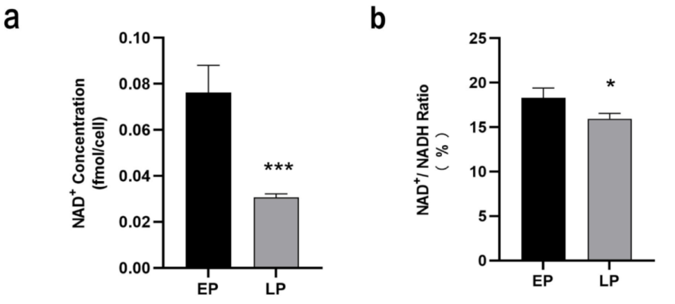 The NAD+ content (panel a) and NAD+/NADH ratio (panel b) were significantly lower in LP MSCs compared with EP MSCs