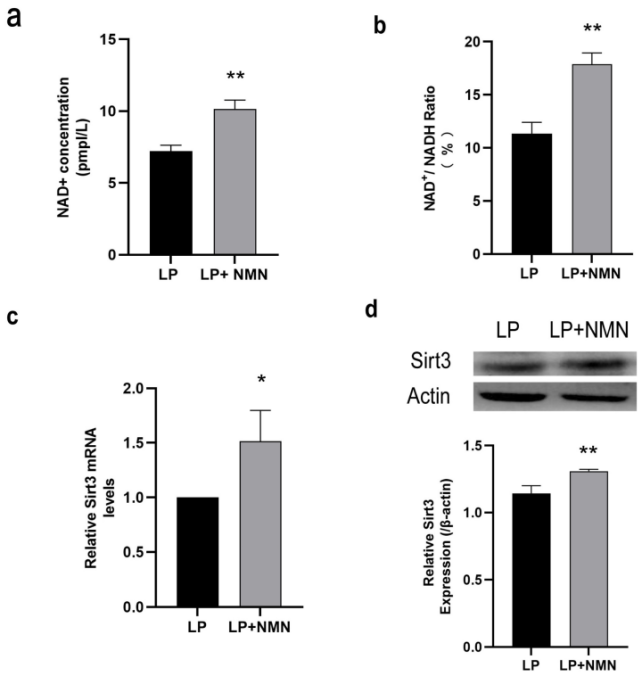 As an NAD+-dependent deacetylase