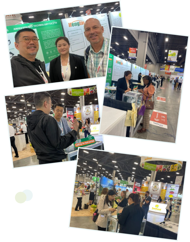 Review of the North American Food Ingredients Exhibition