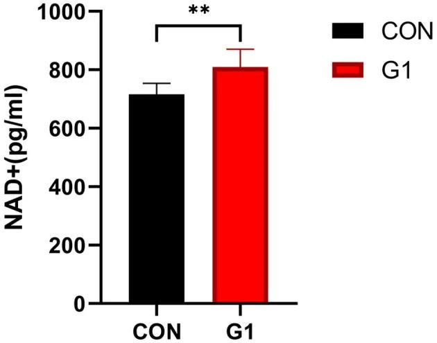 Serum NAD+ levels significantly increased after long-term NMN treatment
