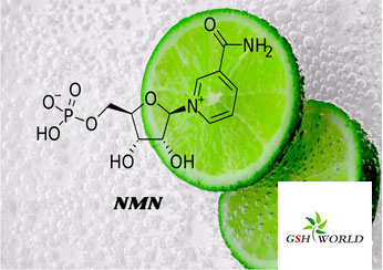 Direct supply of BETA nicotinamide mononucleotide NMN raw materials