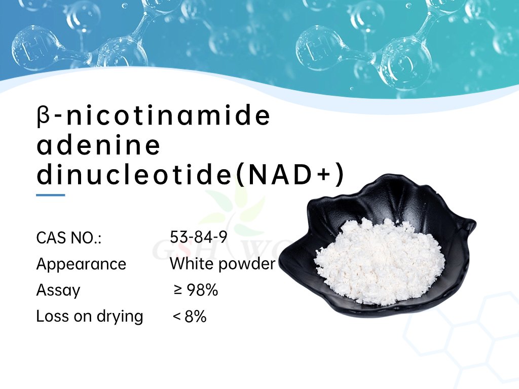 β-nicotinamide adenine dinucleotide NAD+