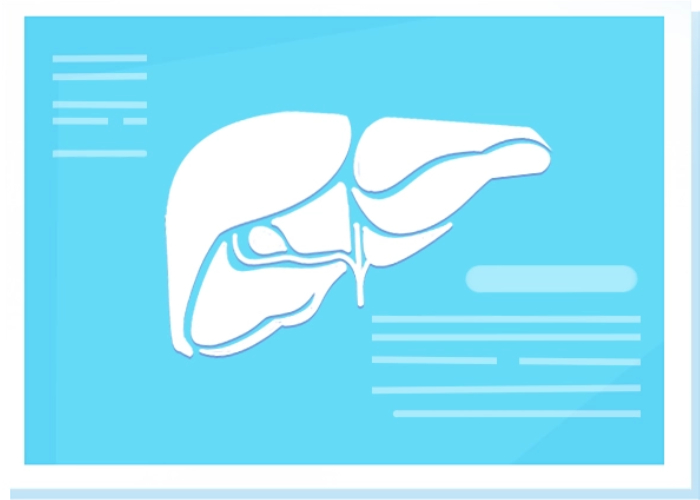 liver
