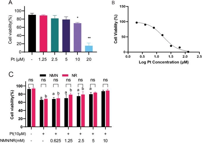 NMN and NR can rescue the cell viability of cisplatin-treated cells. NMN and NR can rescue the cell viability of cisplatin-treated cells.