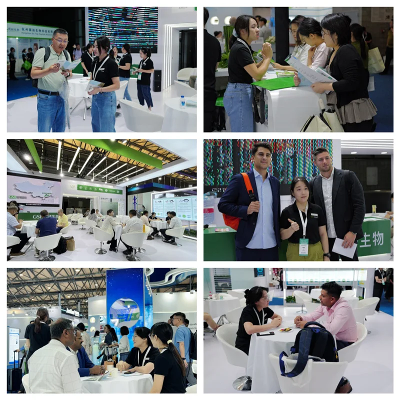 Technical dialogue Technical dialogue