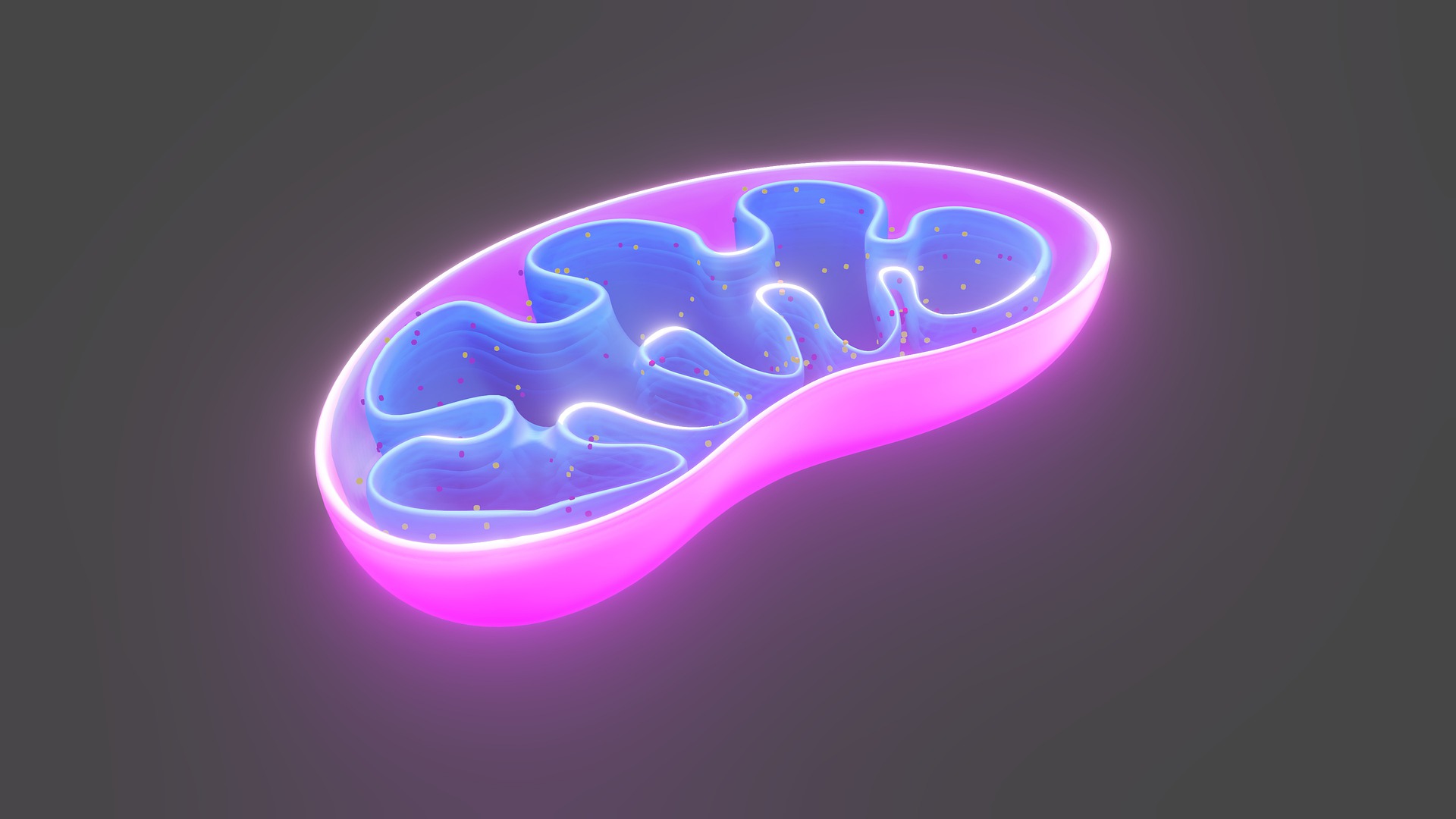 PQQ: Regulator of Energy Metabolism