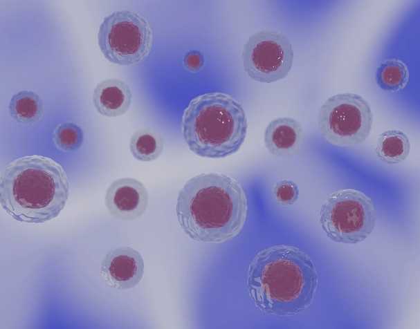 Structure and characteristics of PQQ