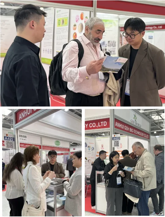 Global Ingredients Show 2025 in Russia