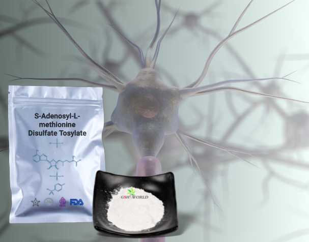 SAMe's Effects on Neurological Health
