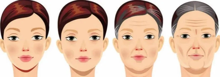 Nicotinamide and NAD/NADH Metabolism Nicotinamide and NAD/NADH Metabolism