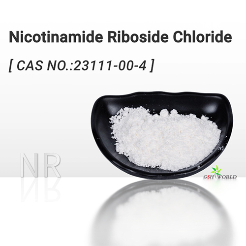 Bulk Nicotinamide Riboside Chloride NR Powder suppliers & manufacturers in China