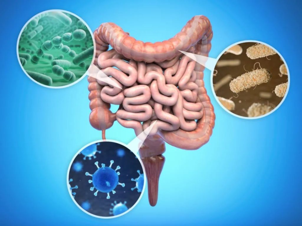 The benefits of taking NMN to middle-aged and elderly people on health and longevity 8 6.Enhance immunity