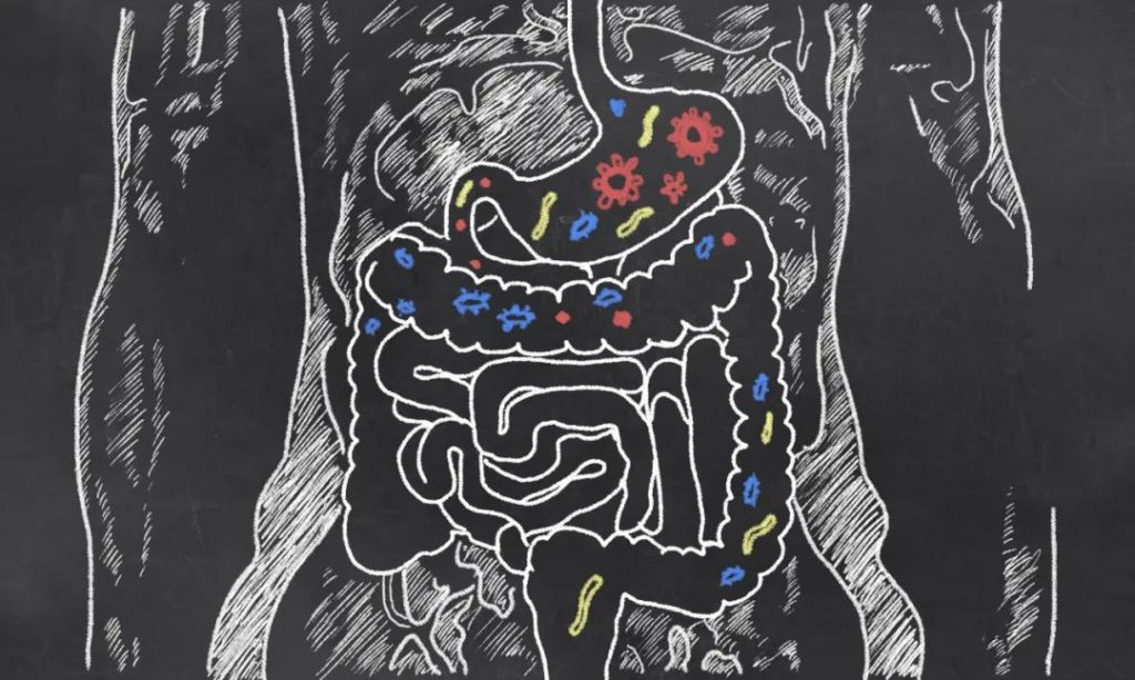 10.NMN improves intestinal flora imbalance