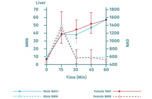 Fast conversion from NMN to NAD+