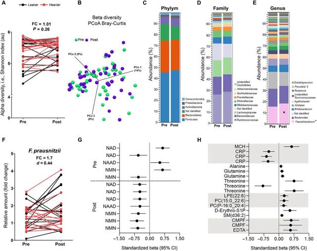 NR improves gut microbiota composition in BMI-discordant twins
