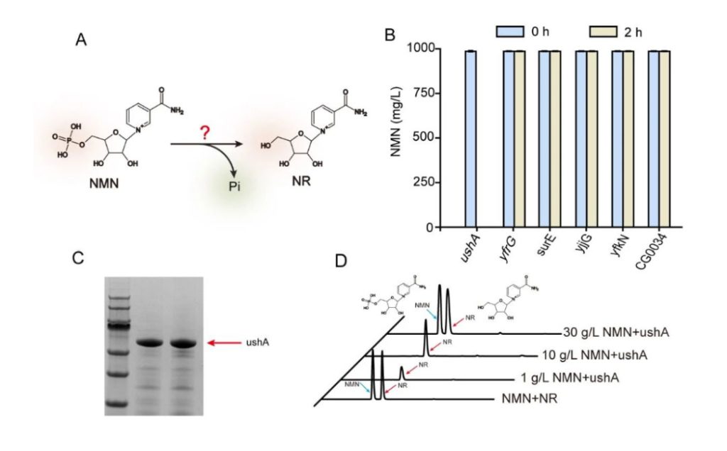 Related research illustrations