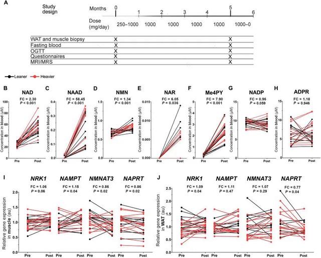 Daily NR dose change data, whole blood NAD metabolite levels before and after NR