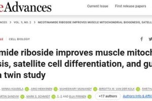 Nicotinamide riboside improves muscle mitochondrial biogenesis, satellite cell differentiation, and gut microbiota in a twin study