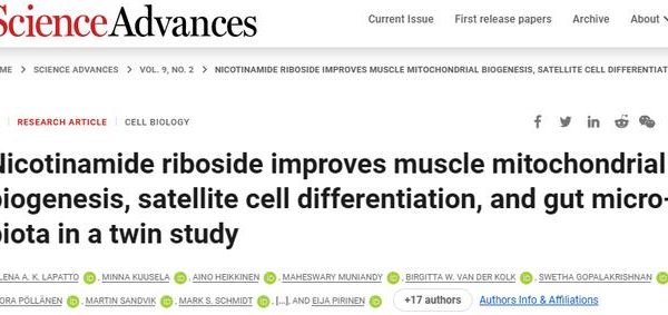 Nicotinamide riboside improves muscle mitochondrial biogenesis, satellite cell differentiation, and gut microbiota in a twin study