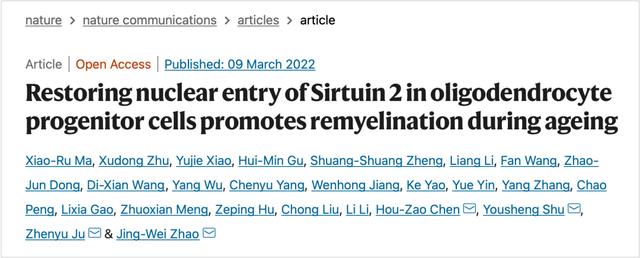 Restoring nuclear entry of Sirtuin 2 in oligodendrocte progenitor cells promotes remyelination during ageing