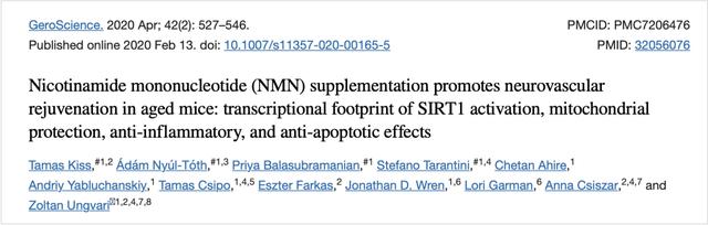 Nicotinamide Mononucleotide NMN supplementation promotes neurovascular rejuvenation in aged mice: transcriptional footprint of SIRT1 activation, mitochondrial protection