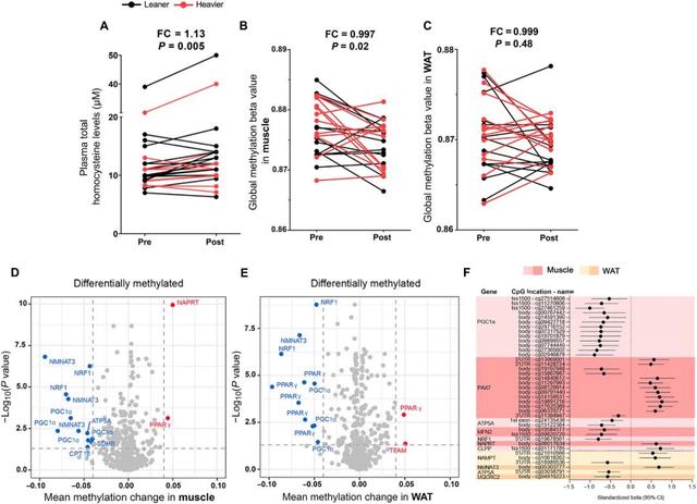 NR modifies epigenetic control of twin gene expression from BMI-discordant pairs