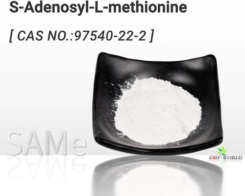 S-Adenosyl-L-methionine