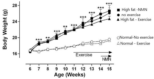 The high-fat diet caused the mice to gain a lot of weight