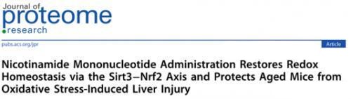 Nicotinamide Mononucleotide Administration Restores Redox Homeostasis via the Sirt3-Nrf2 Axis and Protects Aged Mice from Oxidative Stress-induced Liver injury