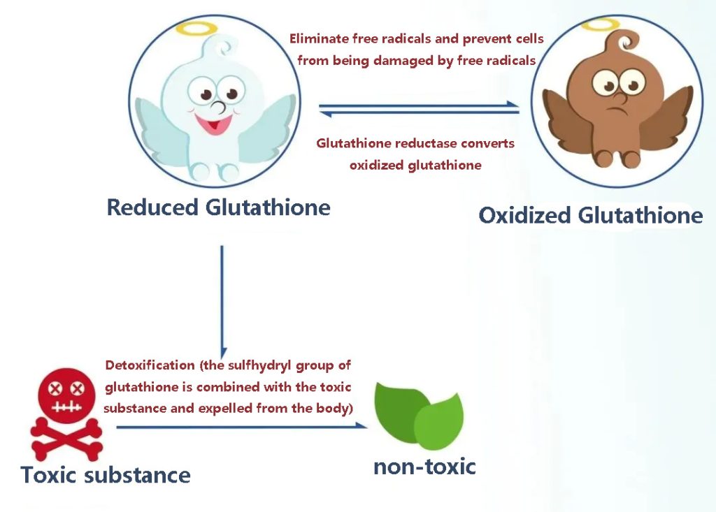 Pharmacological effects of glutathione