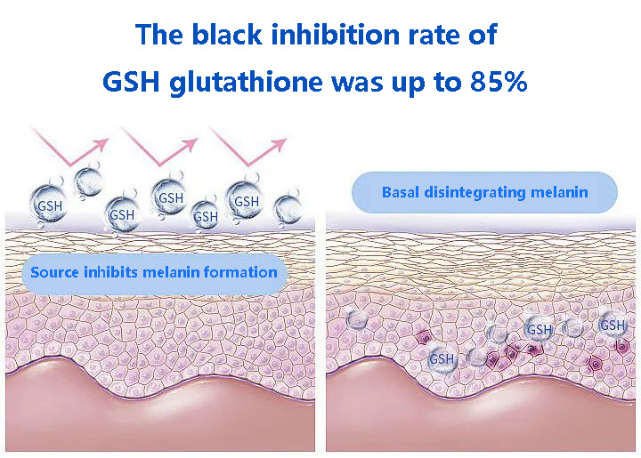 The black inhibition rate of GSH glutathione was up to 85%