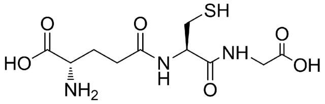 Glutathione overview diagram