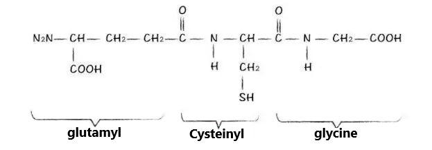 Molecular formula