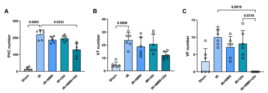 NMN and reduced coenzyme CoQ10 can reduce irregular heartbeats after a heart attack 2 NMN and CoQ10 improve heart rate after attack