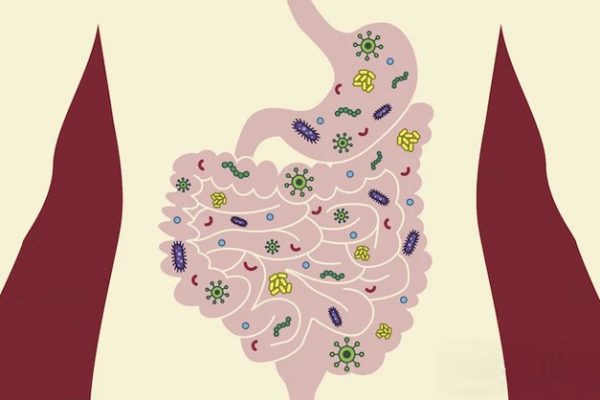 Black Queen hypothesis is disconnected from microbes microorganism