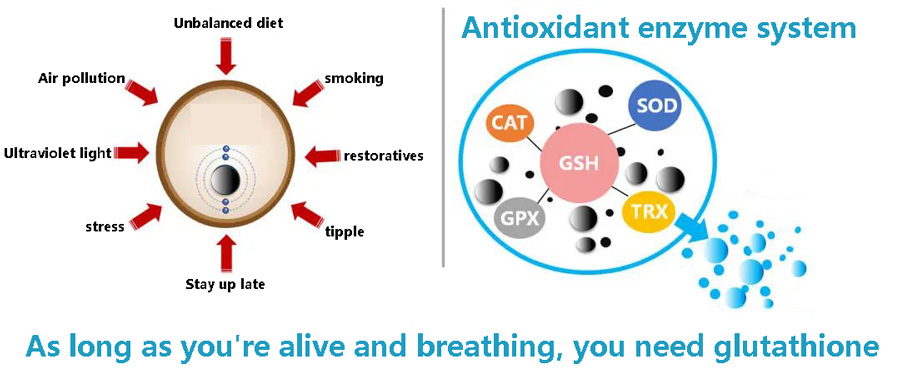 Can save liver damage glutathione, can anti-aging whitening really? 4 Can save liver damage glutathione, can anti-aging whitening really?