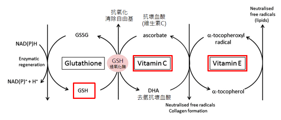 Can save liver damage glutathione, can anti-aging whitening really? 6 Can save liver damage glutathione, can anti-aging whitening really?