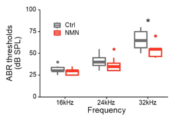 A recent study in Japan found that NMN can inhibit hearing loss 3 Older mice given NMN (red) required lower sound intensity to stimulate brain electrical activity at 32 Hz frequency (ABR threshold) compared to older mice given water only (gray) (* indicates statistical difference), which indicates NMN at higher frequencies of sound.