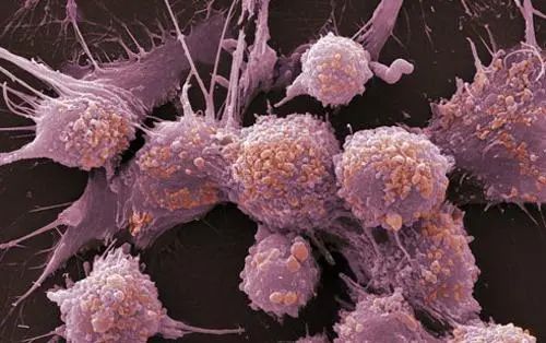 Whole cell and enzymatic synthesis of innovative pathways 2 Whole cell and enzymatic synthesis of innovative pathways