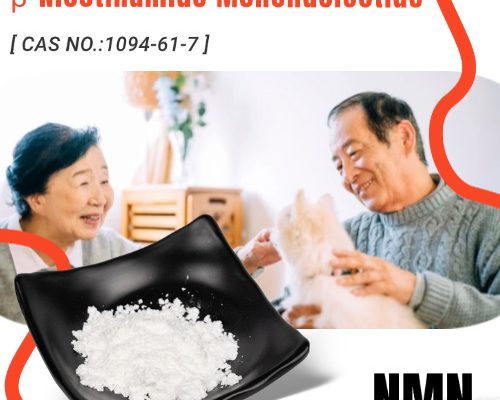 Potential benefits of NMN for hyperlipidemia NMN powder