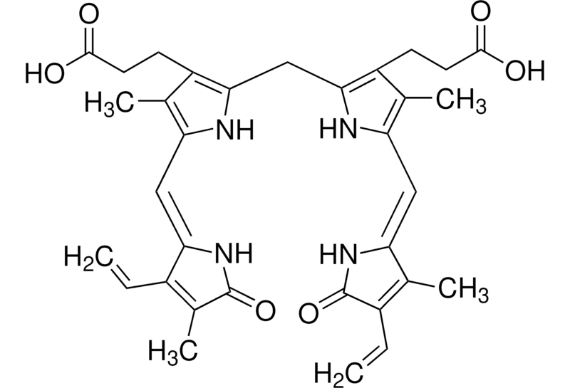Bilirubin
