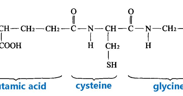 Glutamic acid、cysteine、glycine