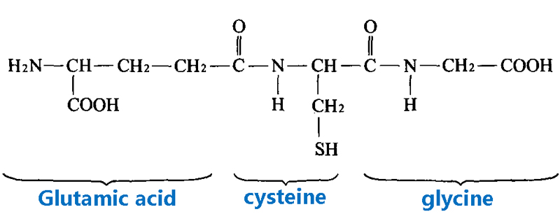 Glutamic acid、cysteine、glycine