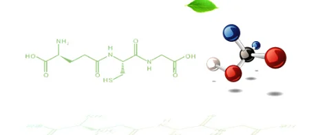 Technology Innovation