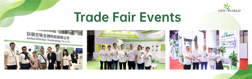 trade fair events