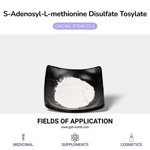 SAMe May Offer New Hope for Chronic Colitis