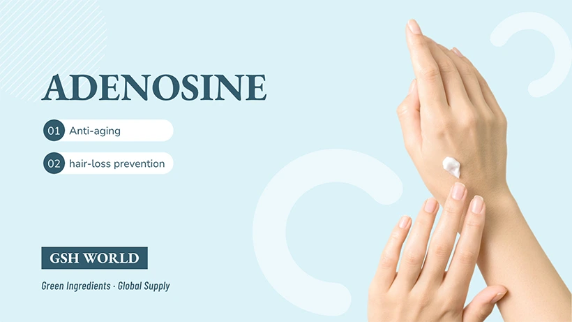 Adenosine Anti-Aging and Anti-Hair-Loss Effects