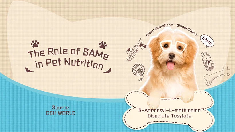 Role SAMe in Pet Nutritional Products