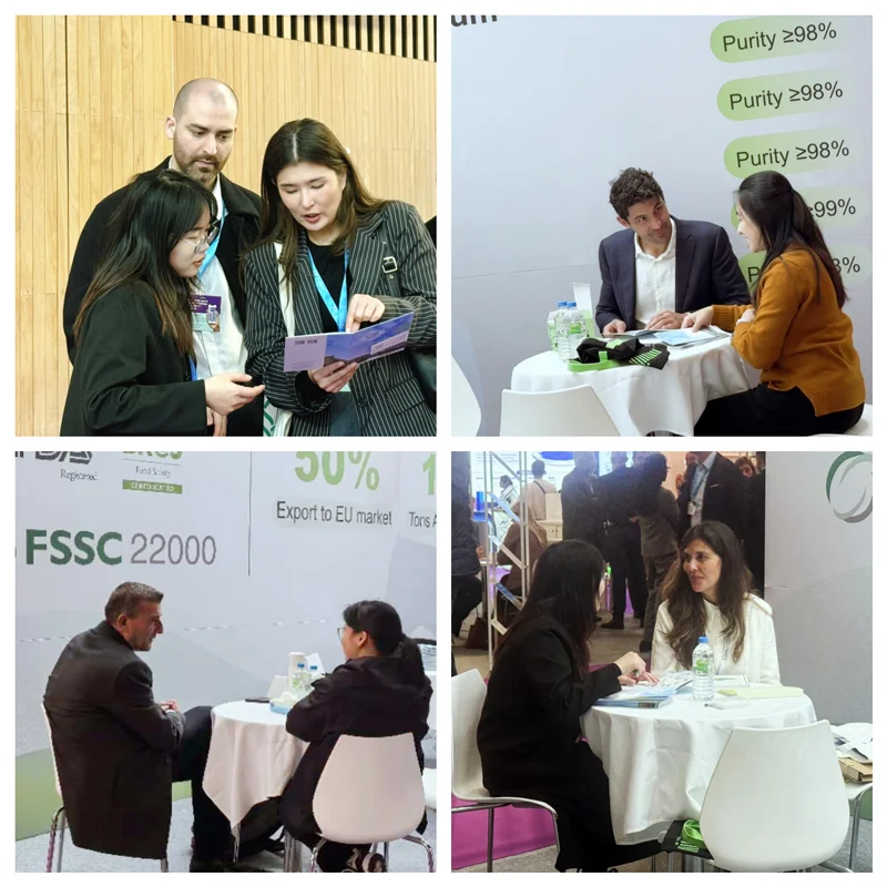 Receiving clients at the exhibition booth.